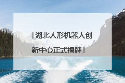 湖北人形机器人创新中心正式揭牌