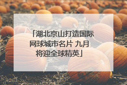 湖北京山打造国际网球城市名片 九月将迎全球精英