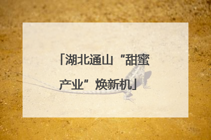 湖北通山“甜蜜产业”焕新机