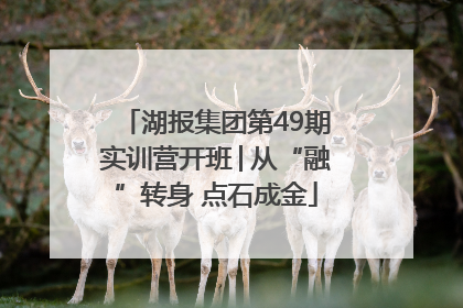 湖报集团第49期实训营开班│从“融”转身 点石成金