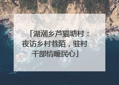湖潮乡芦猫塘村：夜访乡村巷陌，驻村干部情暖民心