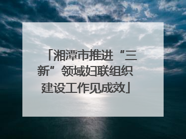 湘潭市推进“三新”领域妇联组织建设工作见成效