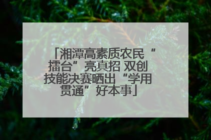 湘潭高素质农民“擂台”亮真招 双创技能决赛晒出“学用贯通”好本事