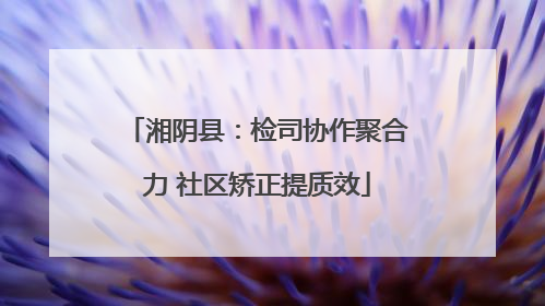 湘阴县:检司协作聚合力 社区矫正提质效