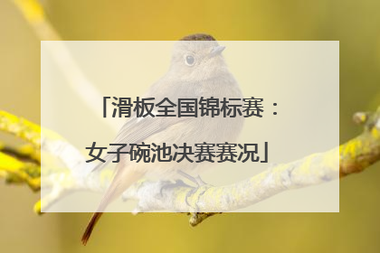 滑板全国锦标赛：女子碗池决赛赛况