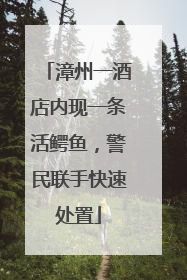 漳州一酒店内现一条活鳄鱼，警民联手快速处置
