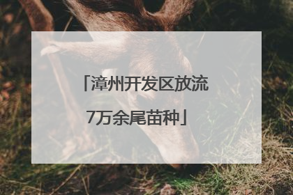 漳州开发区放流7万余尾苗种