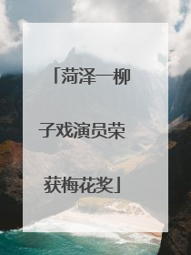 菏泽一柳子戏演员荣获梅花奖