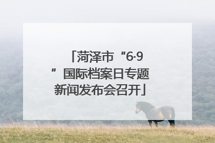 菏泽市“6·9”国际档案日专题新闻发布会召开