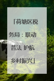 荷塘区税务局：联动普法 护航乡村振兴