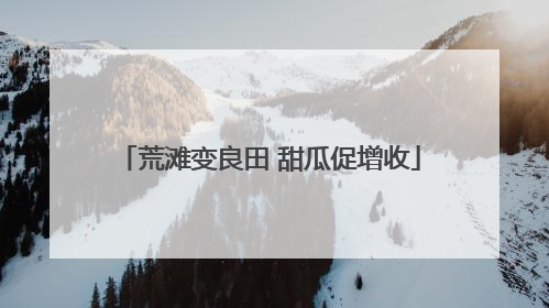 荒滩变良田 甜瓜促增收