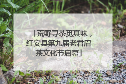 荒野寻茶觅真味，红安县第九届老君眉茶文化节启幕