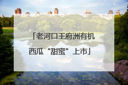 老河口王府洲有机西瓜“甜蜜”上市