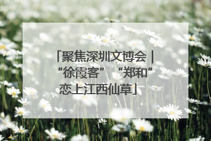 聚焦深圳文博会｜“徐霞客”“郑和”恋上江西仙草