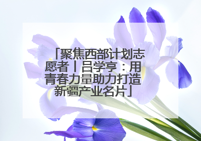 聚焦西部计划志愿者丨吕学亨：用青春力量助力打造新疆产业名片
