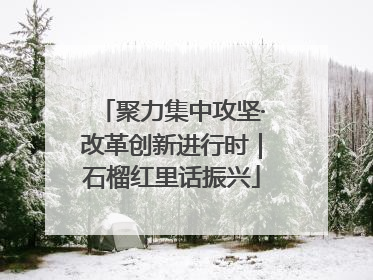 聚力集中攻坚·改革创新进行时｜石榴红里话振兴