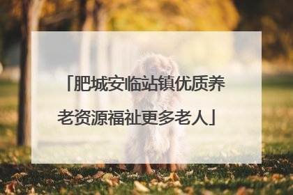 肥城安临站镇优质养老资源福祉更多老人