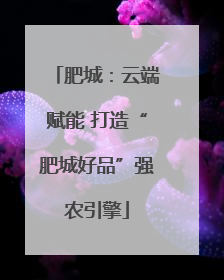 肥城：云端赋能 打造“肥城好品”强农引擎
