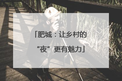 肥城：让乡村的“夜”更有魅力