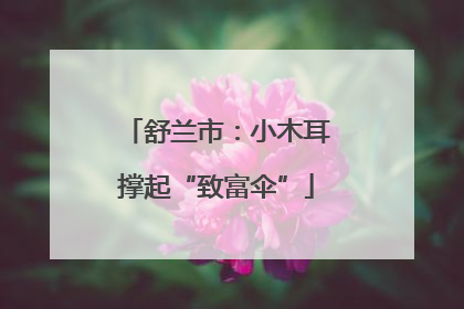 舒兰市：小木耳撑起“致富伞”