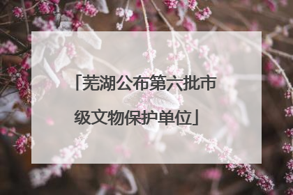 芜湖公布第六批市级文物保护单位