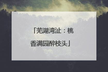 芜湖湾沚：桃香满园醉枝头