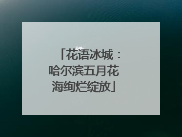 花语冰城：哈尔滨五月花海绚烂绽放