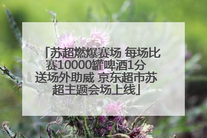 苏超燃爆赛场 每场比赛10000罐啤酒1分送场外助威 京东超市苏超主题会场上线