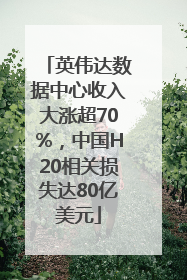 英伟达数据中心收入大涨超70%，中国H20相关损失达80亿美元