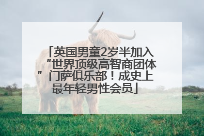 英国男童2岁半加入“世界顶级高智商团体”门萨俱乐部！成史上最年轻男性会员