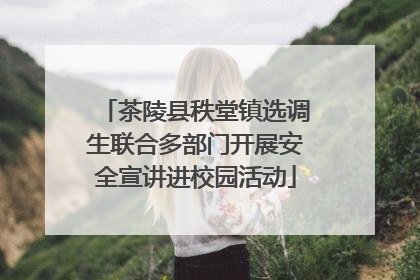 茶陵县秩堂镇选调生联合多部门开展安全宣讲进校园活动