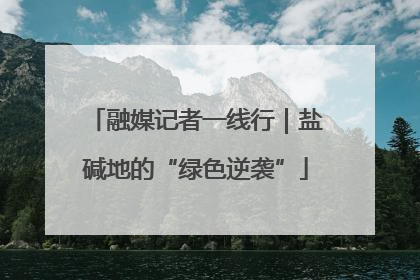 融媒记者一线行｜盐碱地的“绿色逆袭”