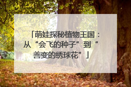萌娃探秘植物王国：从“会飞的种子”到“善变的绣球花”
