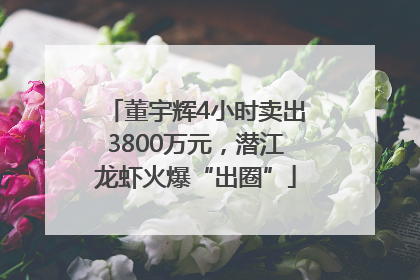 董宇辉4小时卖出3800万元，潜江龙虾火爆“出圈”