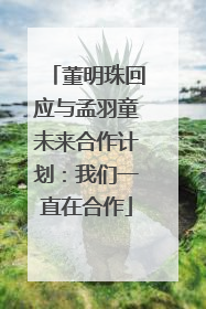 董明珠回应与孟羽童未来合作计划：我们一直在合作