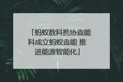 蚂蚁数科携协鑫能科成立蚂蚁鑫能 推进能源智能化
