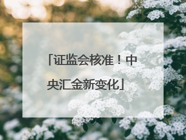 证监会核准！中央汇金新变化