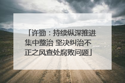 许勤：持续纵深推进集中整治 坚决纠治不正之风查处腐败问题