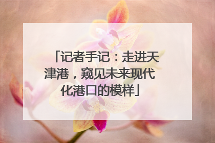 记者手记：走进天津港，窥见未来现代化港口的模样