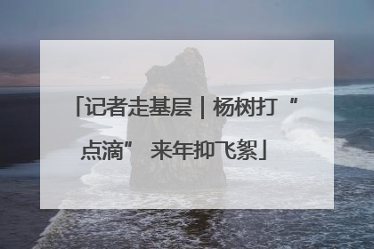 记者走基层｜杨树打“点滴” 来年抑飞絮