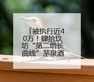 被执行近40万！肆拾玖坊“第二增长曲线”茅泉酒业，卖酒还是卖模式？