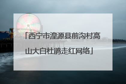 西宁市湟源县前沟村高山大白杜鹃走红网络