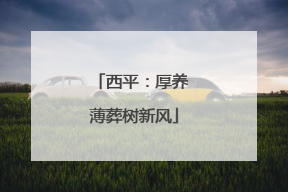 西平：厚养薄葬树新风