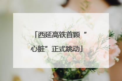 西延高铁首颗“心脏”正式跳动