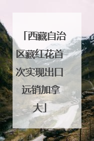 西藏自治区藏红花首次实现出口 远销加拿大