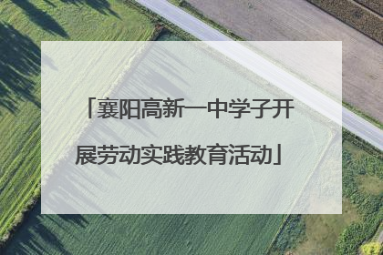 襄阳高新一中学子开展劳动实践教育活动