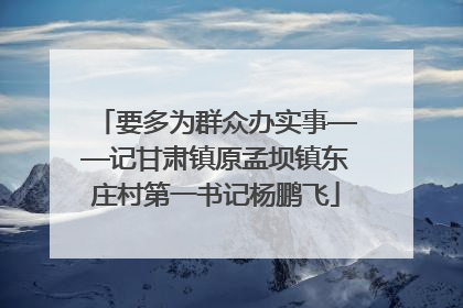 要多为群众办实事——记甘肃镇原孟坝镇东庄村第一书记杨鹏飞