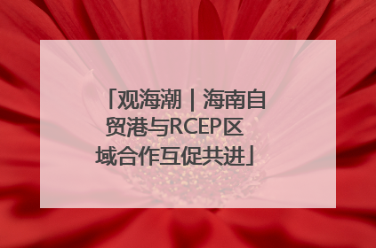 观海潮｜海南自贸港与RCEP区域合作互促共进