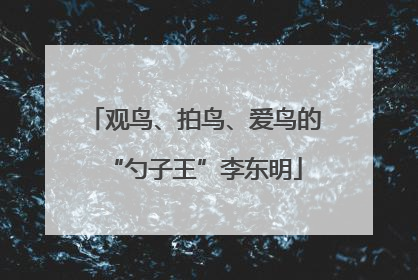 观鸟、拍鸟、爱鸟的“勺子王”李东明