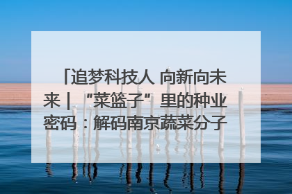 追梦科技人 向新向未来｜“菜篮子”里的种业密码：解码南京蔬菜分子育种的创新之路